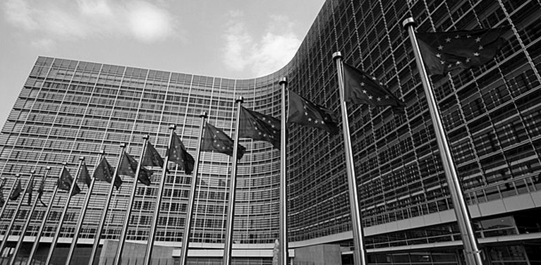 Websites of European Commission